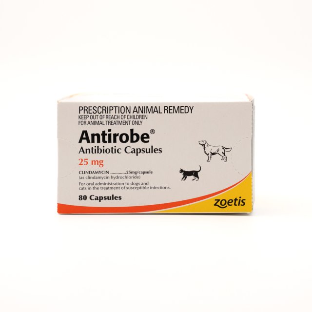 ANTIROBE