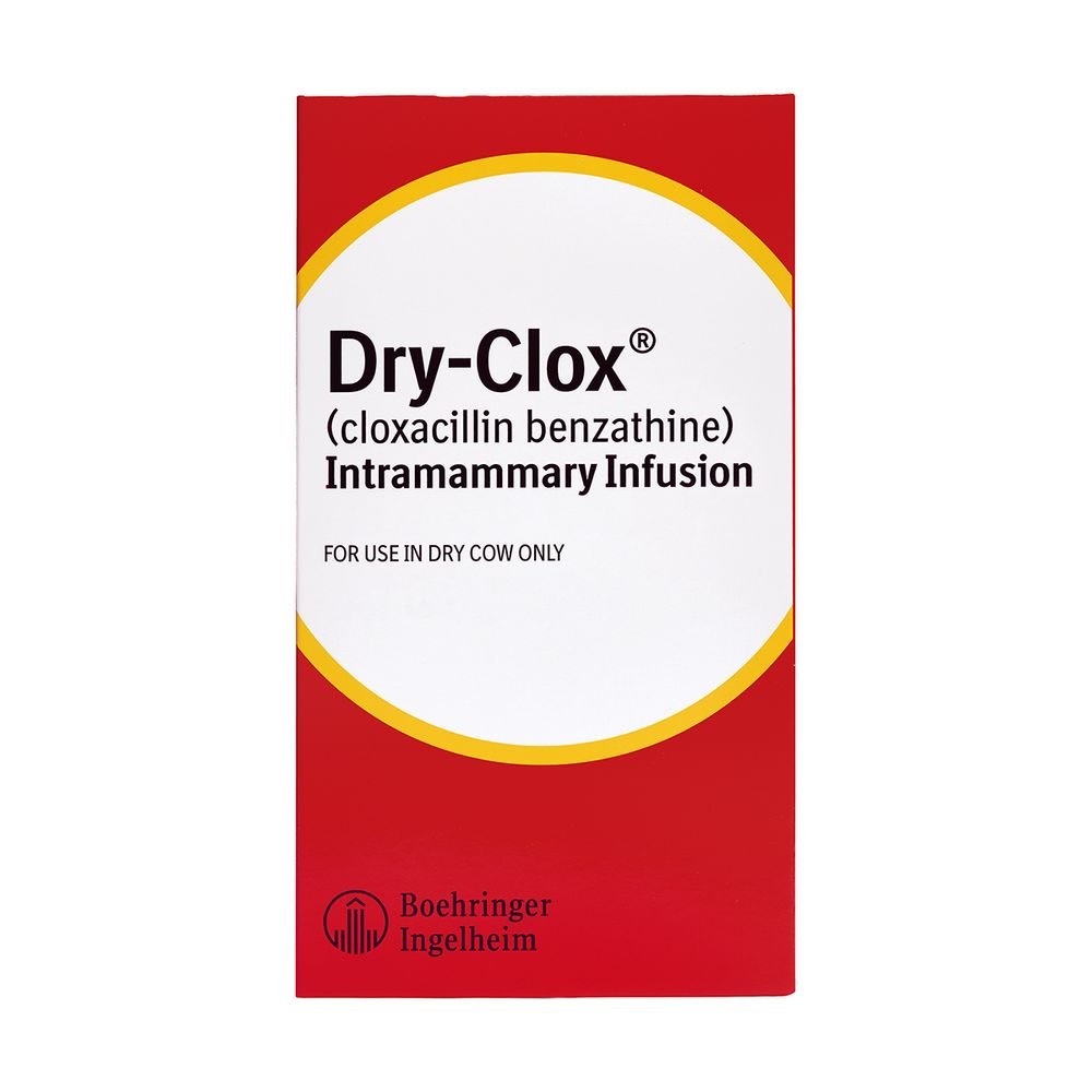 DRY-CLOX