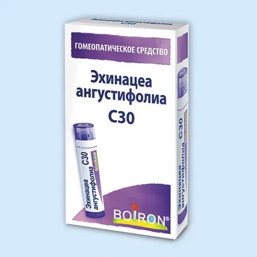 Эхинацеа ангустифолиа