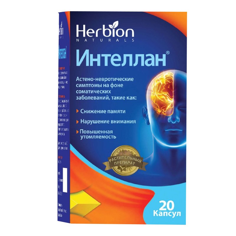 Интеллан