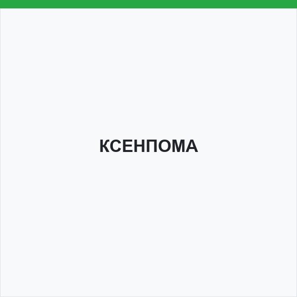 КСЕНПОМА