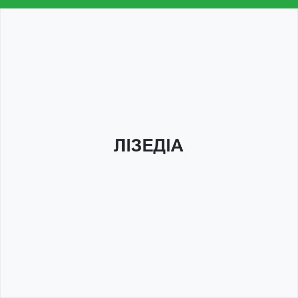 ЛІЗЕДІА