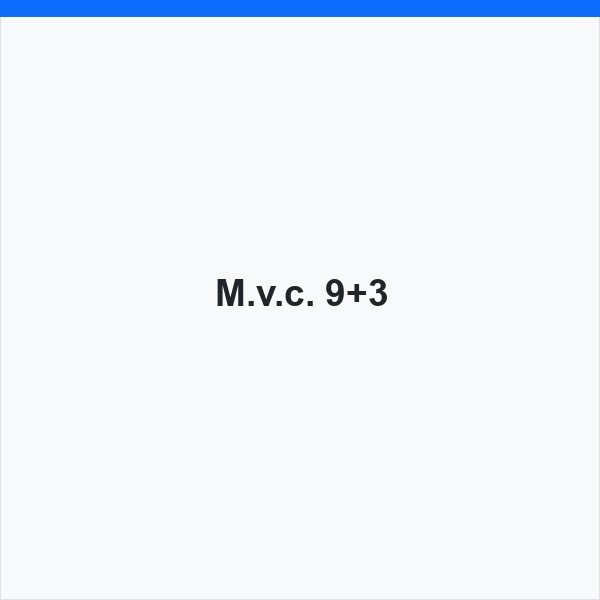 M.v.c. 9+3