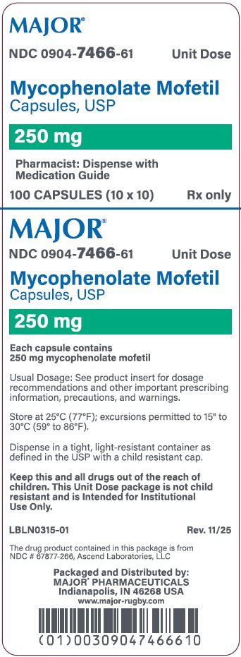Mycophenolate Mofetil