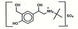 Proair Respiclick