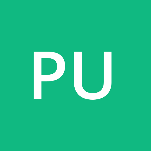 Puldysa