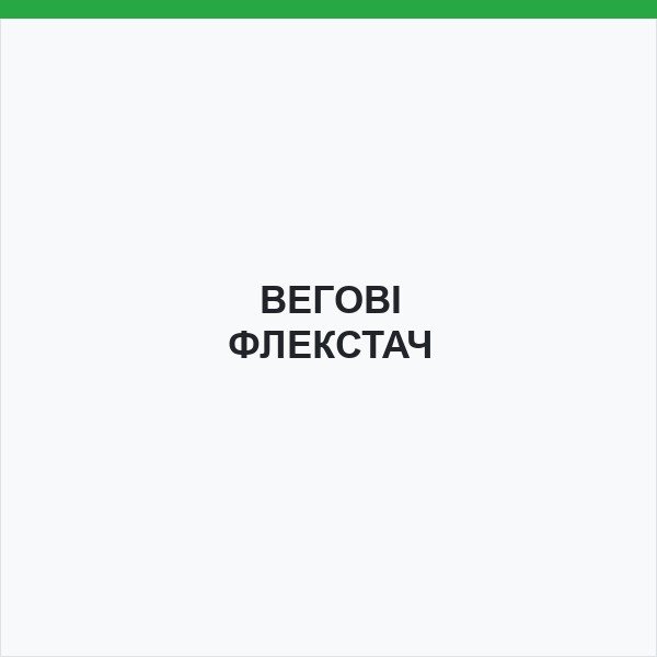 ВЕГОВІ ФЛЕКСТАЧ